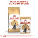 ROYAL CANIN FBN British Shorthair Adult - sucha karma dla dorosłego kota - 4kg