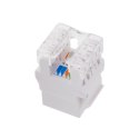 Q-LANTEC Moduł keystone RJ45 UTP kat.5e