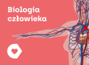 Aplikacja Corinth - Biologia Człowieka