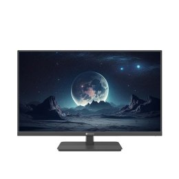 AG NEOVO Monitor 31,5 cali VA-3201 HDMI DP VGA 24/7 czarny