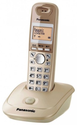 Telefon Panasonic KX-TG2511PDJ