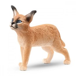 Schleich Figurka młody karakal