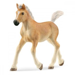 Schleich Figurka źrebak rasy Haflinger