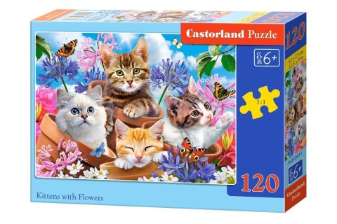 Castor Puzzle 120 elementów Kotki w kwiatkach