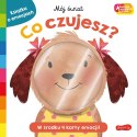 Harper Collins Książeczka Co czujesz? Akademia Mądrego Dziecka