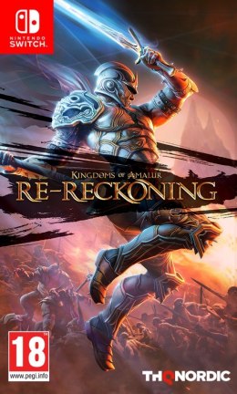 Plaion Gra Nintendo Switch Kingdoms of Amalure Re-Reckoning